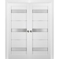 Sartodoors Double Barn Interior Door, 64" x 80", Black QUADRO4055DP-WS-6484